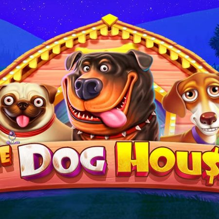 Cлоты с собаками — играть онлайн в автоматы с песиками